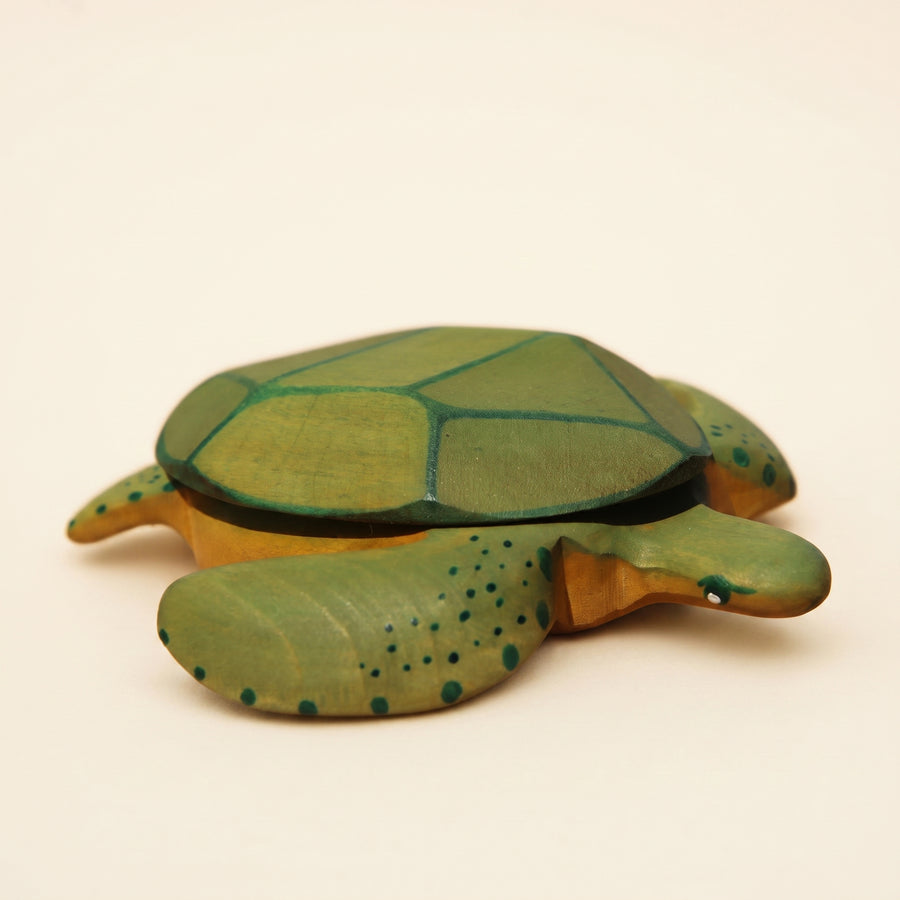 Mako Large Green Turtle