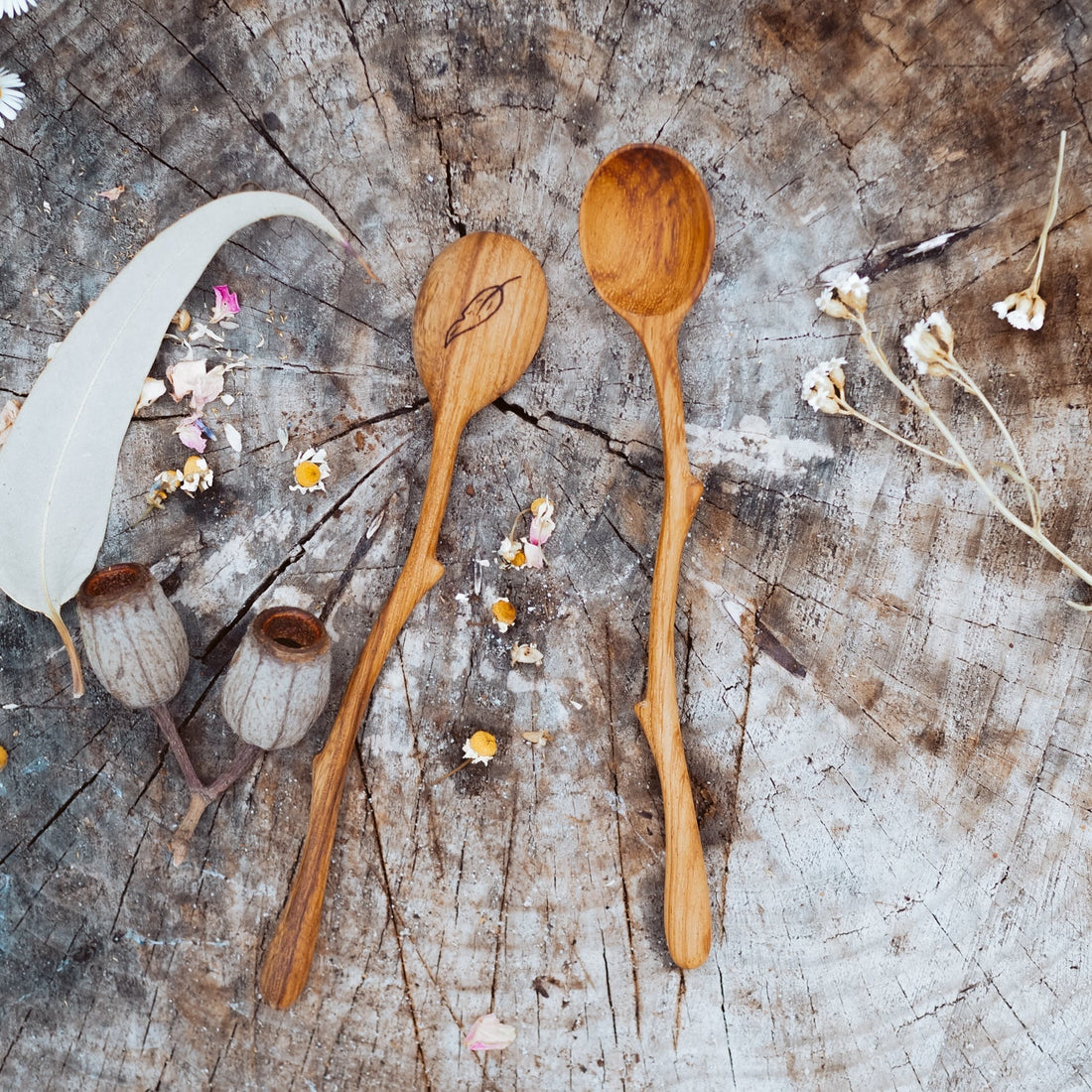 Wild Mountain Child Twig Spoon