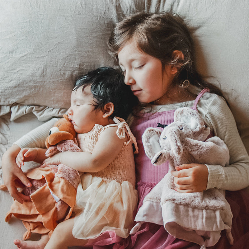 Lucy Darling Little Animal Lover Lovey Blanket – My Toy Wagon