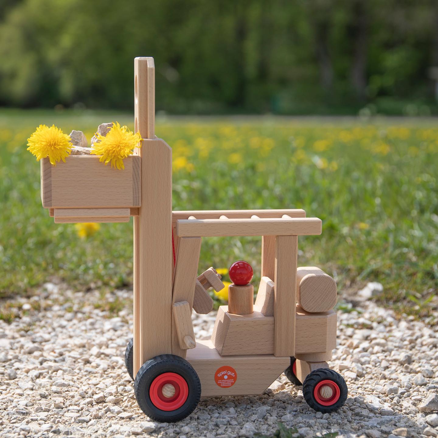 Fagus Forklift