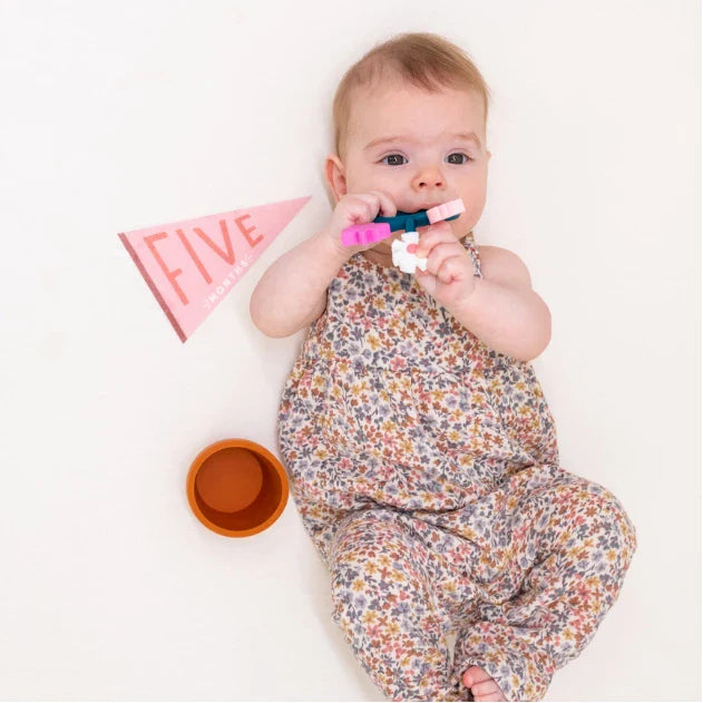 Lucy Darling Blushing Meadow Petit Milestone Pennant