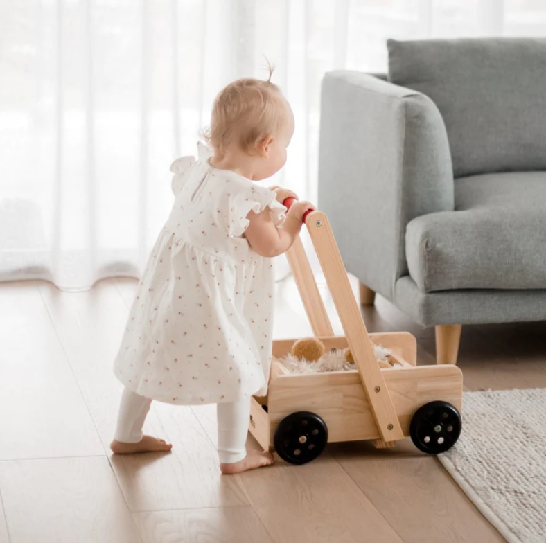 Q Toys Classic Baby Walker My Toy Wagon