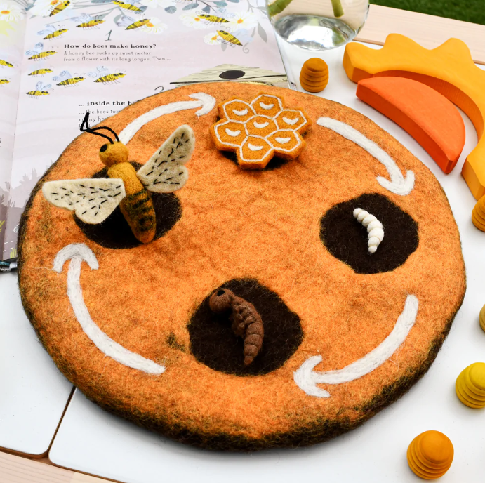 Honey Bee Life Cycle