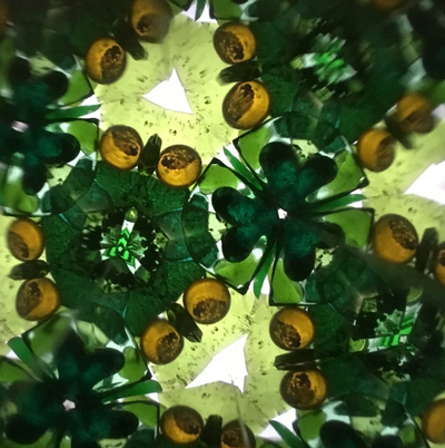Forest Magic Kaleidoscope