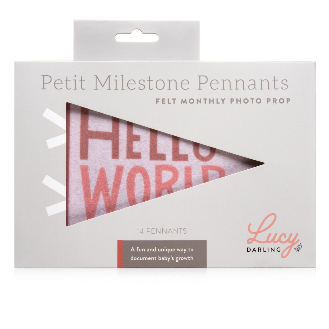 Lucy Darling Blushing Meadow Petit Milestone Pennant