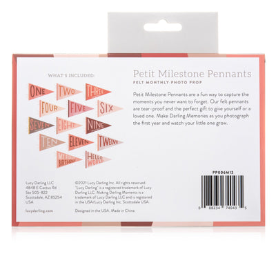 Lucy Darling Blushing Meadow Petit Milestone Pennant