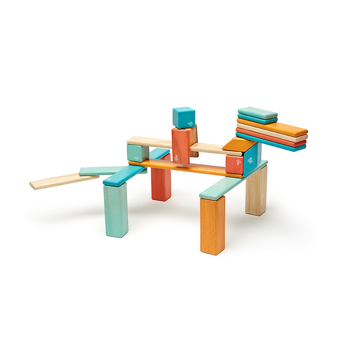 24-Piece Set <br>Magnetic Wooden Blocks <br>Tegu Classics