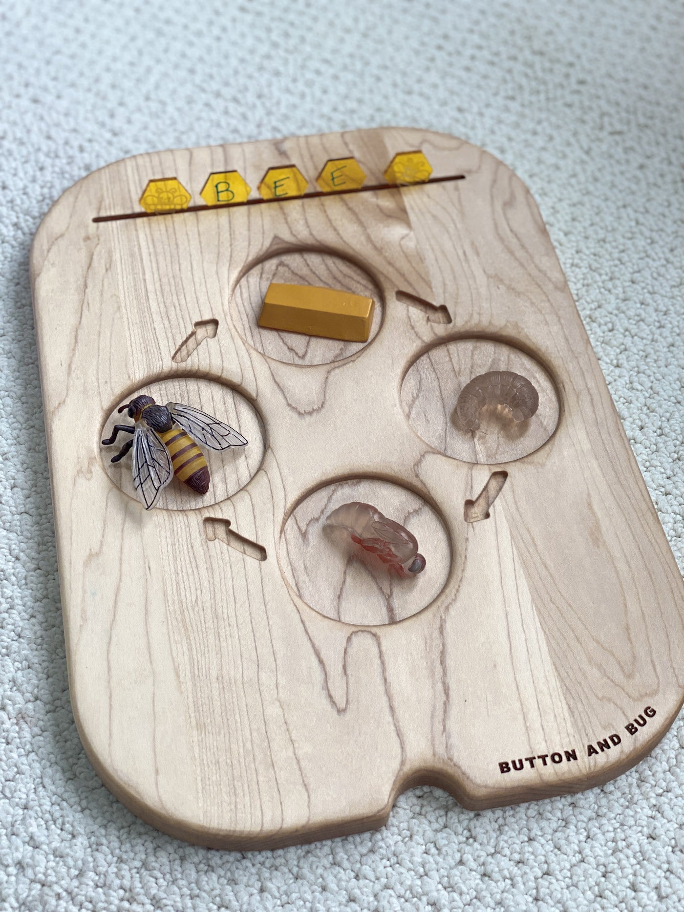 Dual Sided Life Cycle Insert