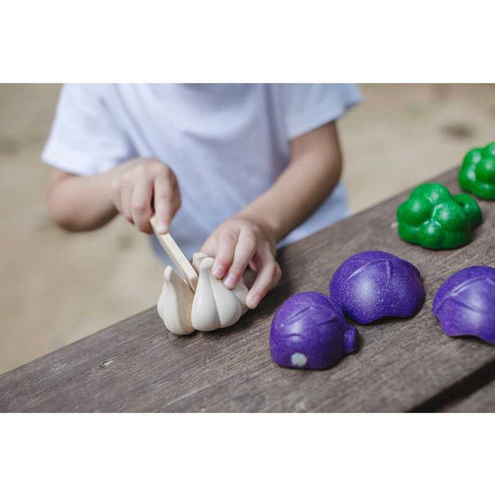 Plan Toys 5 Colors Veggie Set
