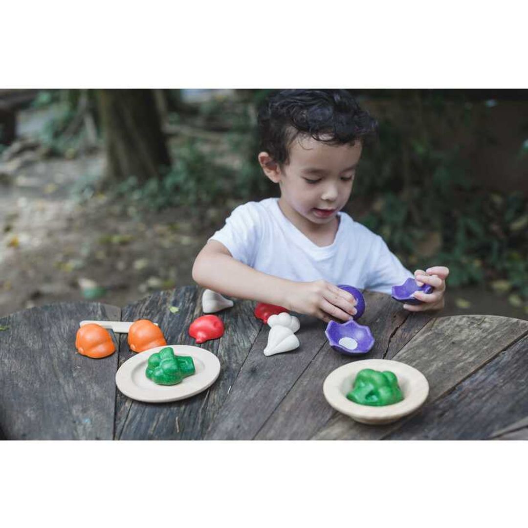 Plan Toys 5 Colors Veggie Set