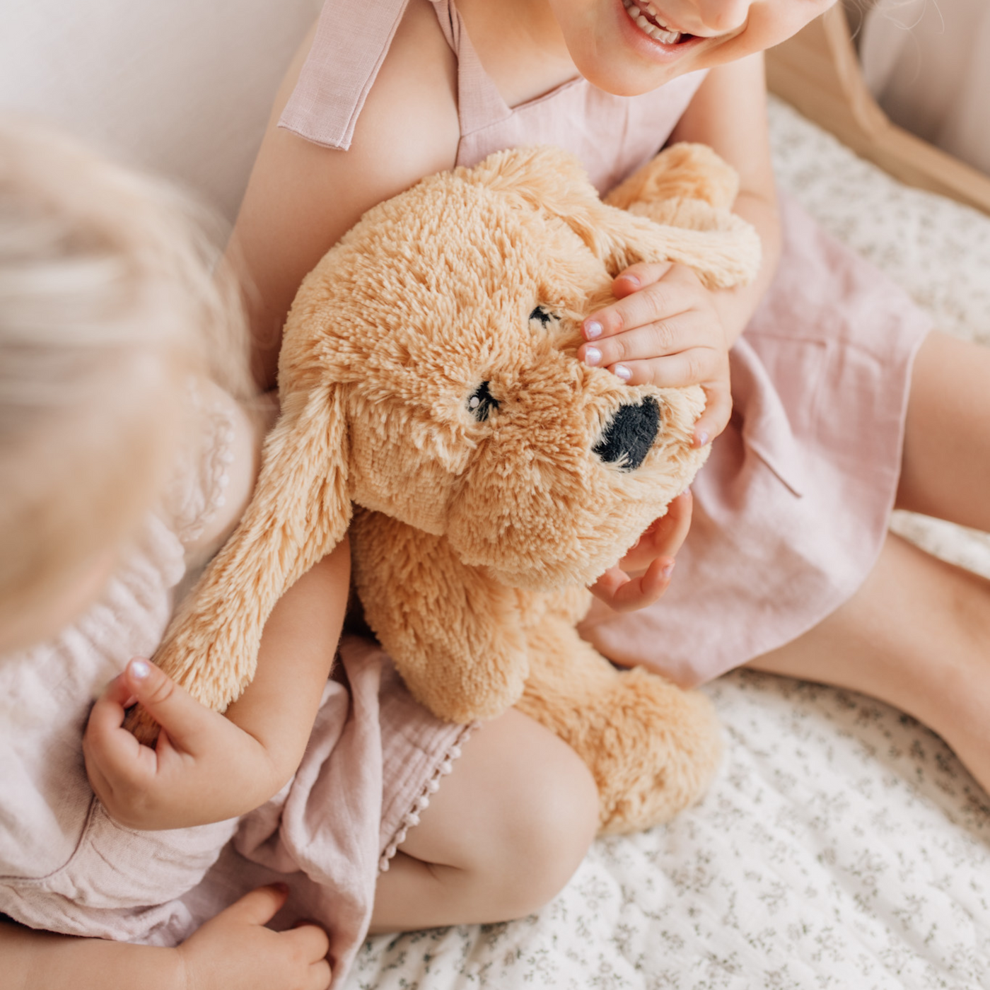 Charlie The Weighted Puppy Dog