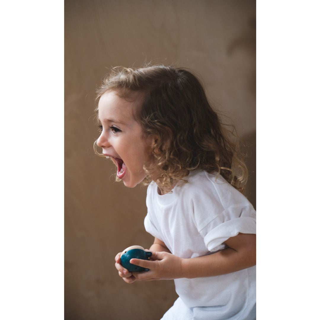 Plan Toys Dolphin Whistle