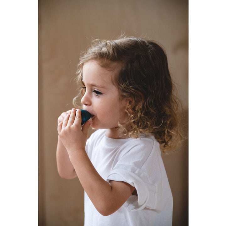 Plan Toys Whale Whistle