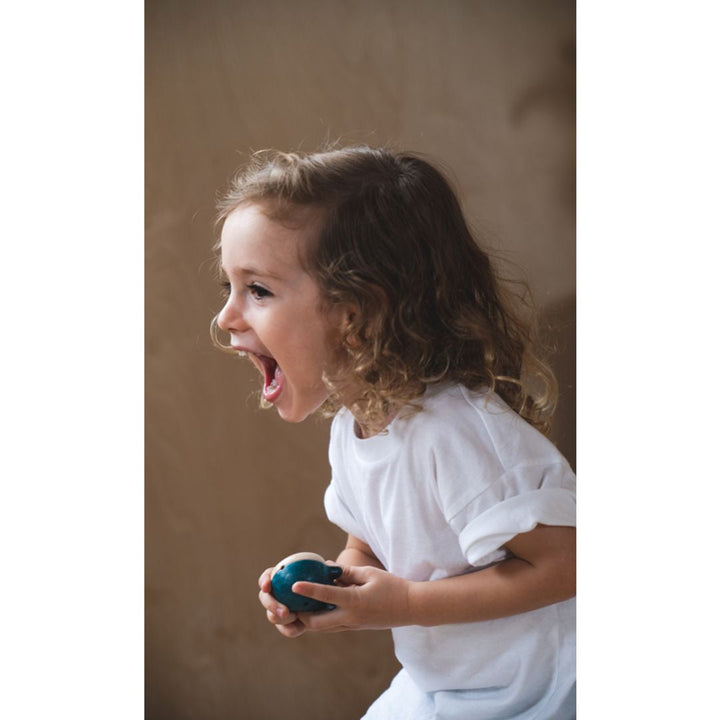 Plan Toys Whale Whistle