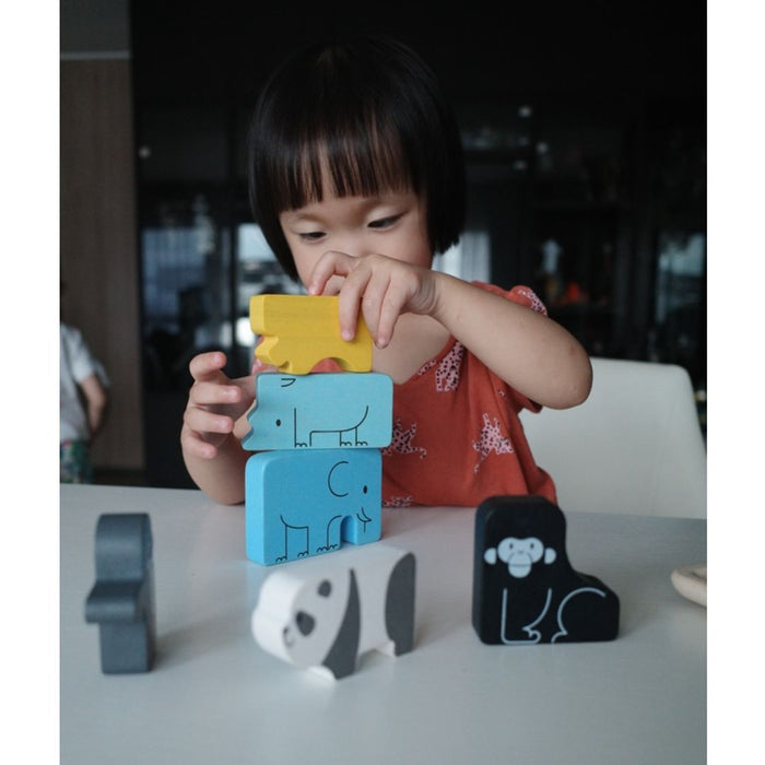 Plan Toys Animal Puzzle Game