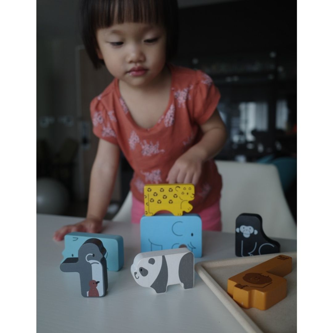 Plan Toys Animal Puzzle Game