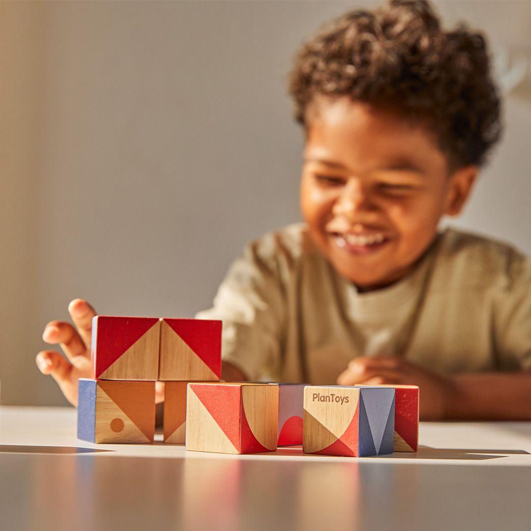 Plan Toys Geo Pattern Cubes