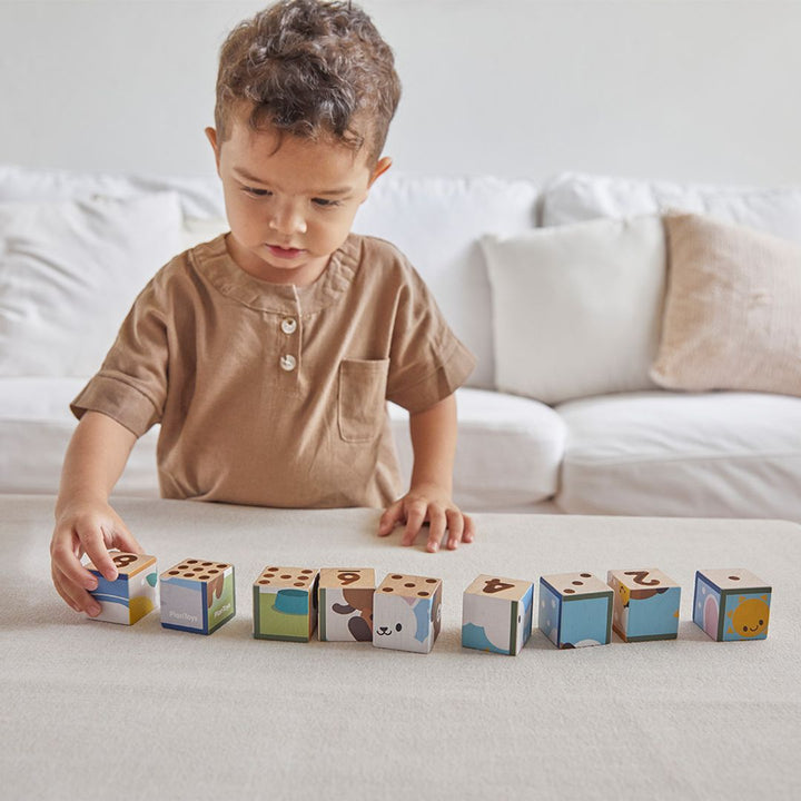 Plan Toys Animal Puzzle Cubes