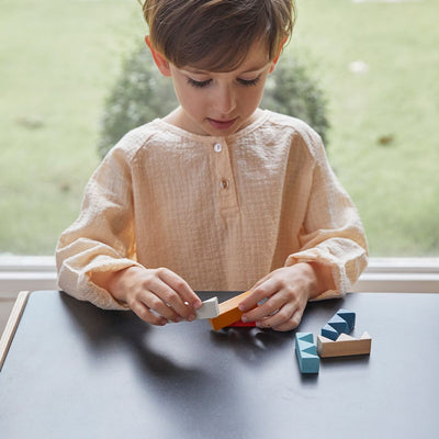 Plan Toys Rectangular Puzzle - PlanMini