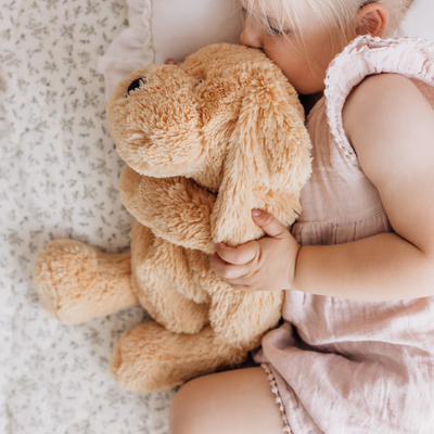 Charlie The Weighted Puppy Dog