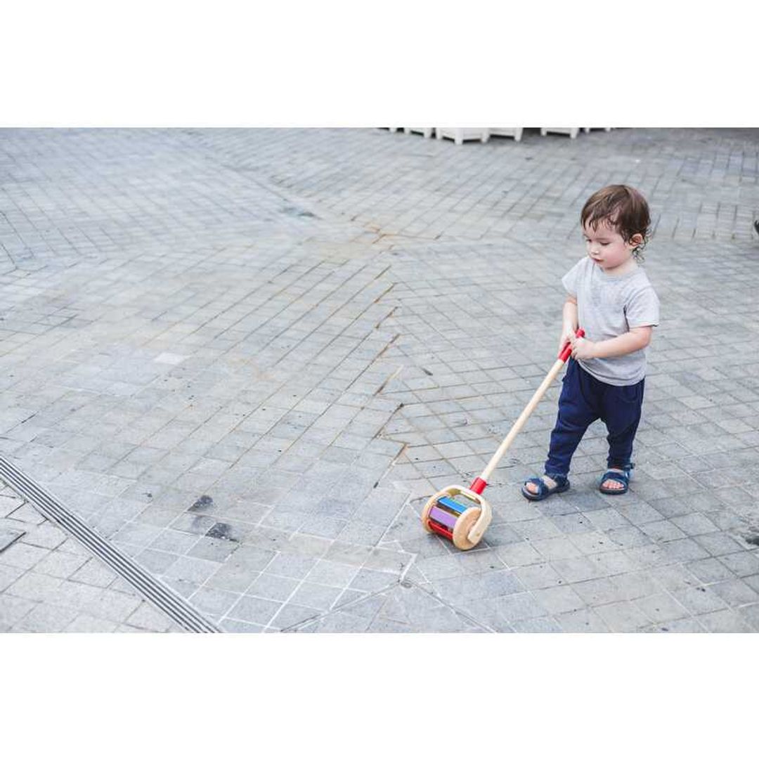 Plan Toys Walk N Roll