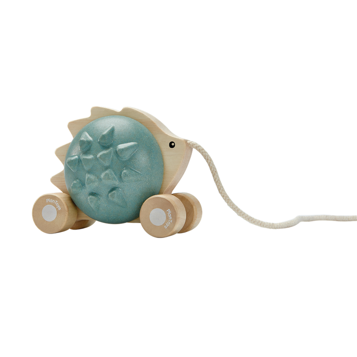 Plan Toys Pull-Along Hedgehog - Blue