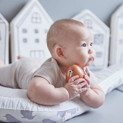 Plan Toys Seal Wobbler