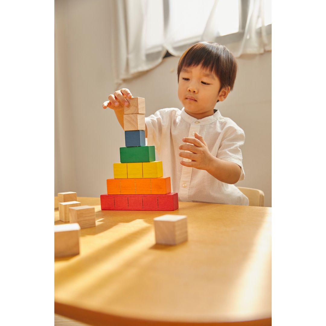 Plan Toys Colored Counting Blocks, Unit Plus