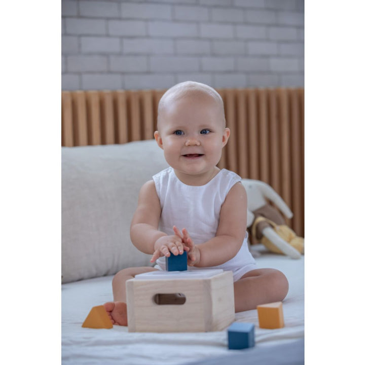 Plan Toys Shape &amp; Sort It Out - Orchard