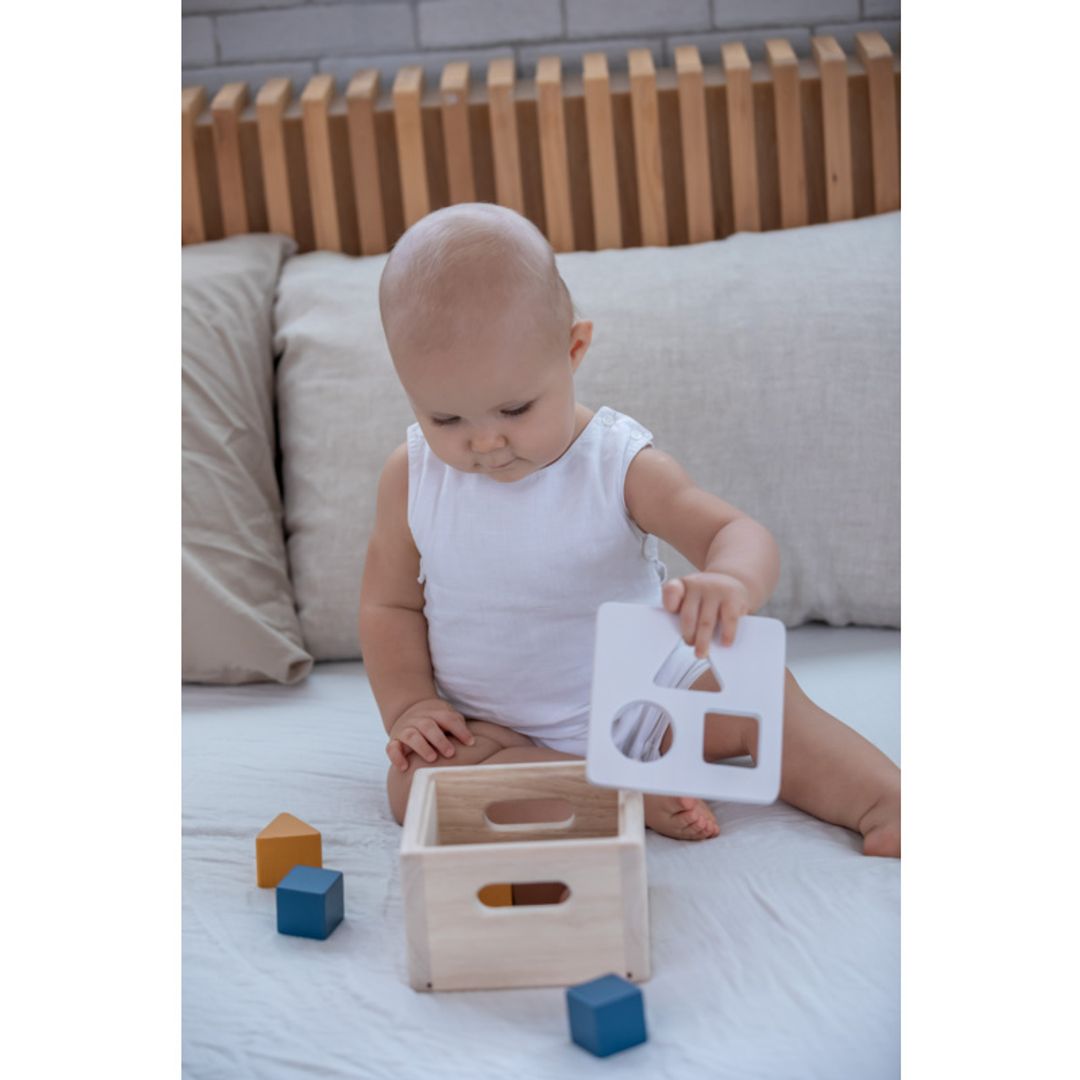 Plan Toys Shape &amp; Sort It Out - Orchard
