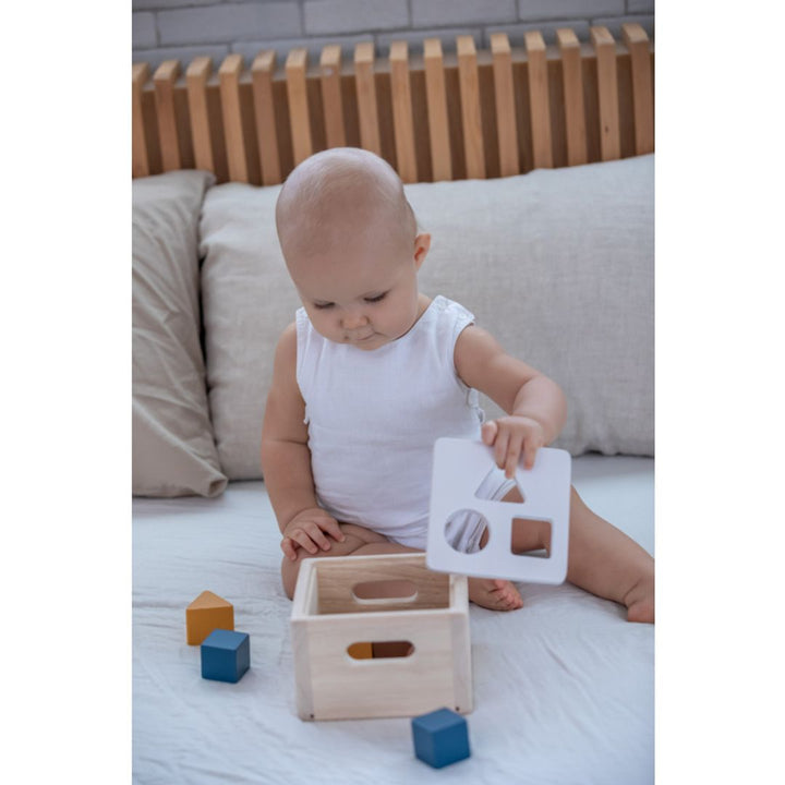 Plan Toys Shape &amp; Sort It Out - Orchard