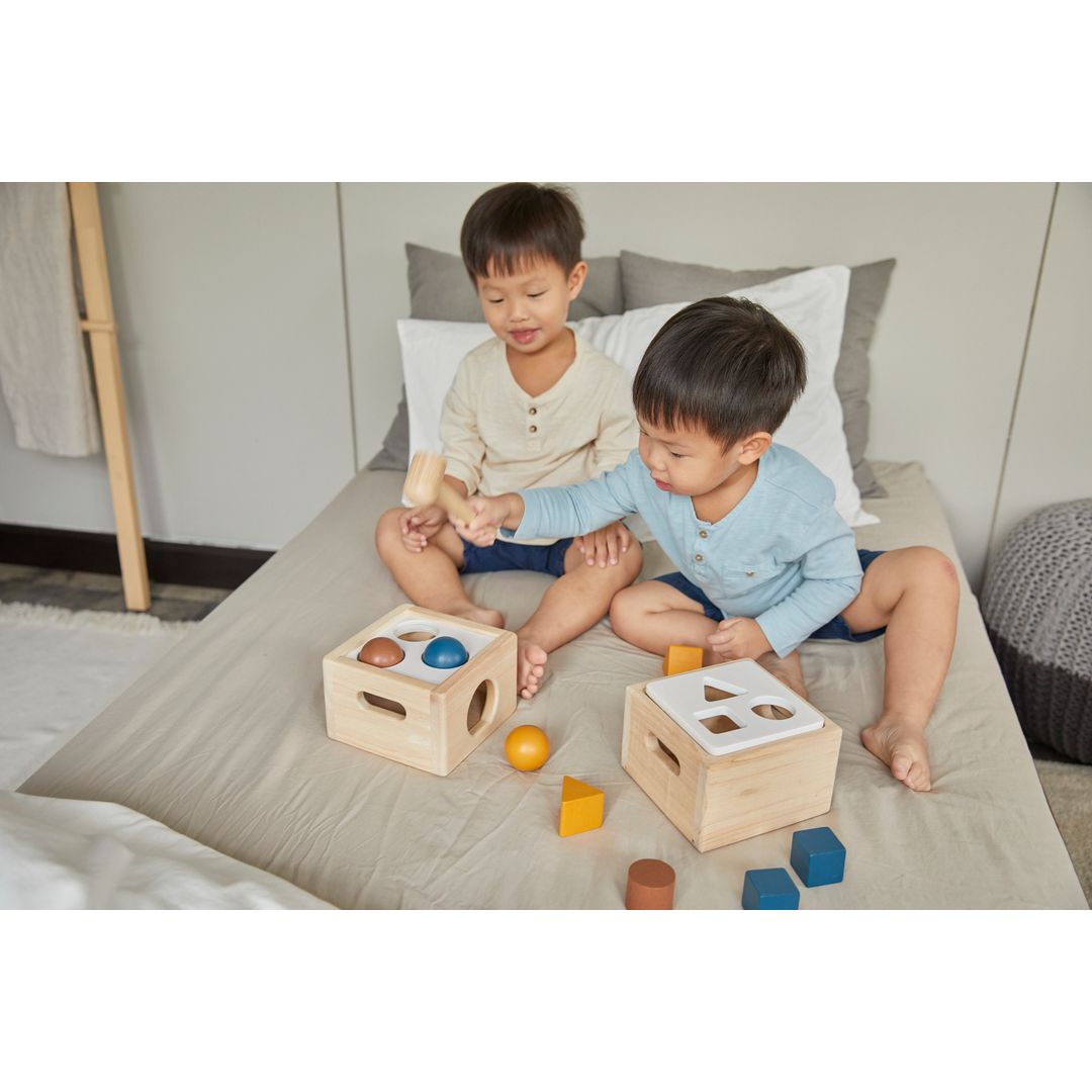 Plan Toys Shape &amp; Sort It Out - Orchard