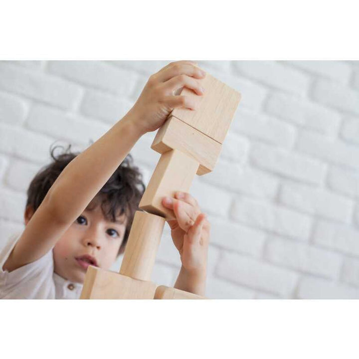 Plan Toys 50 Unit Blocks