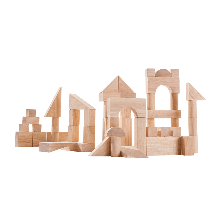 Plan Toys 50 Unit Blocks