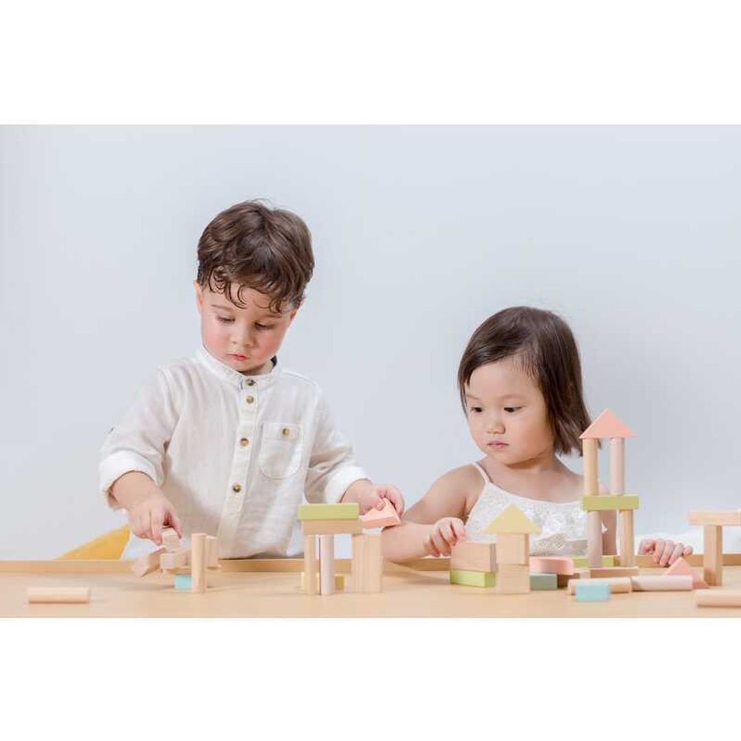 Plan Toys 40 Unit Blocks
