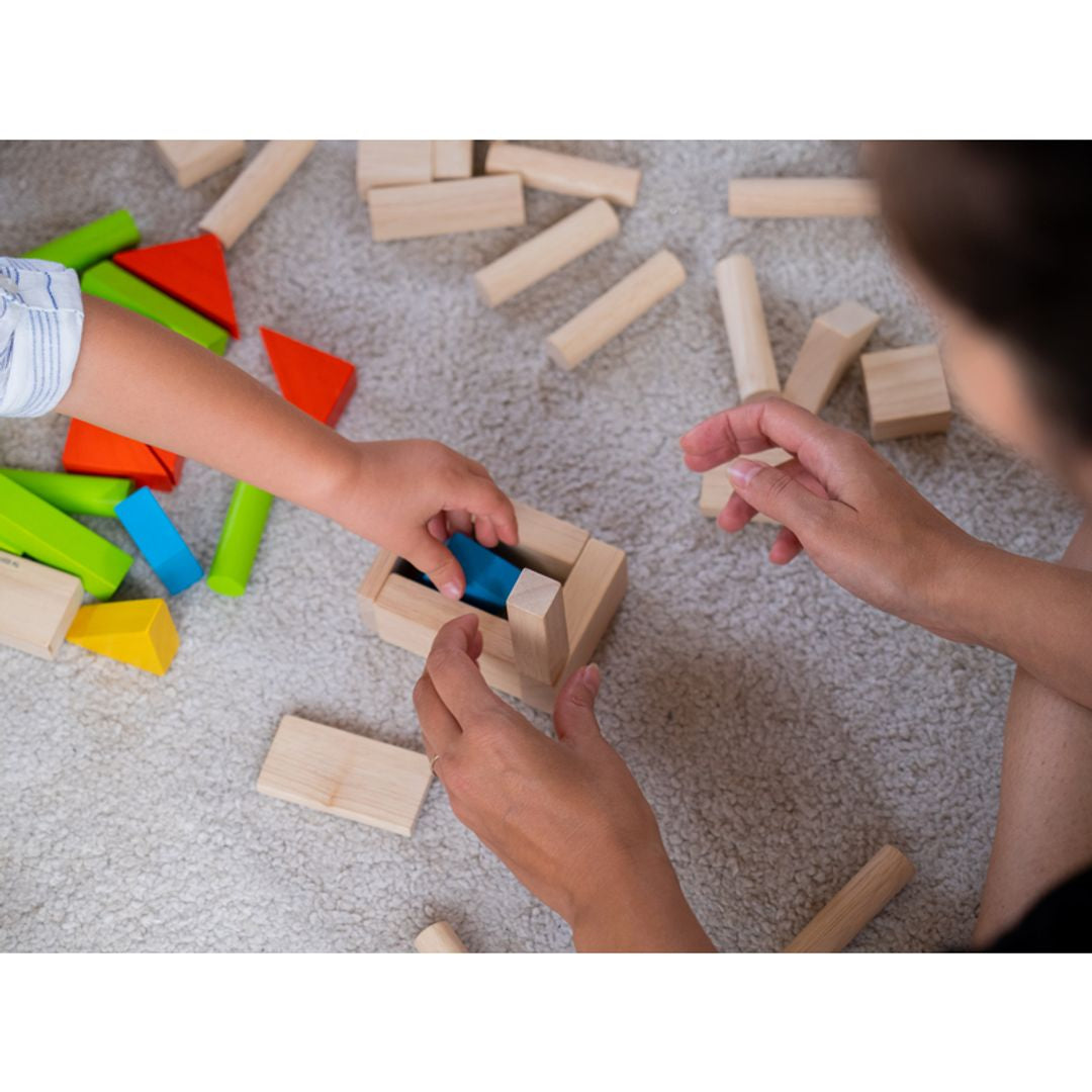 Plan Toys 40 Unit Blocks