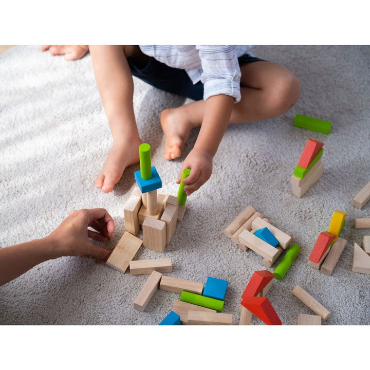 Plan Toys 40 Unit Blocks