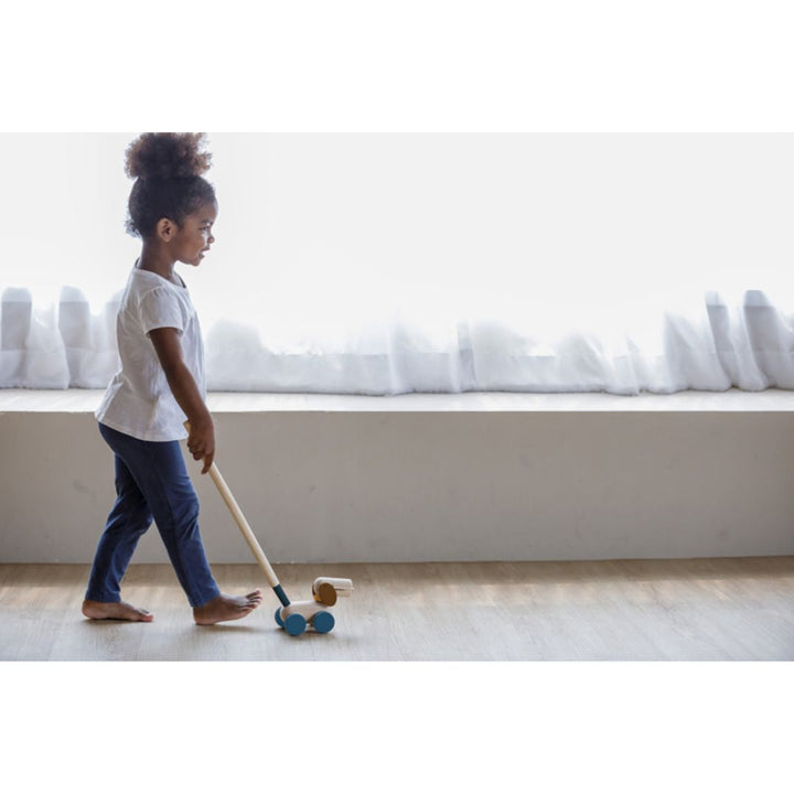 Plan Toys Push &amp; Pull Puppy