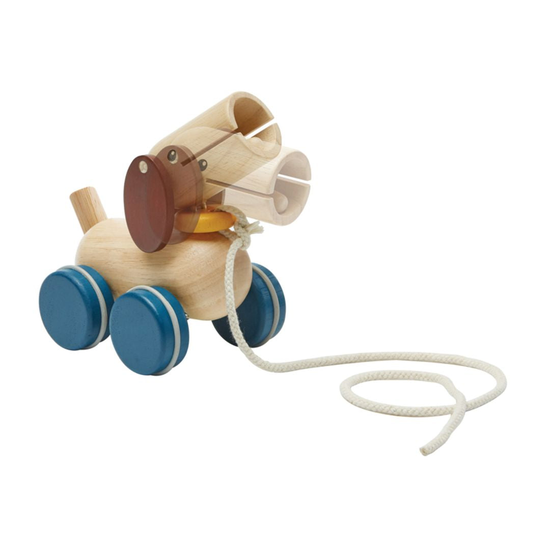 Plan Toys Push &amp; Pull Puppy
