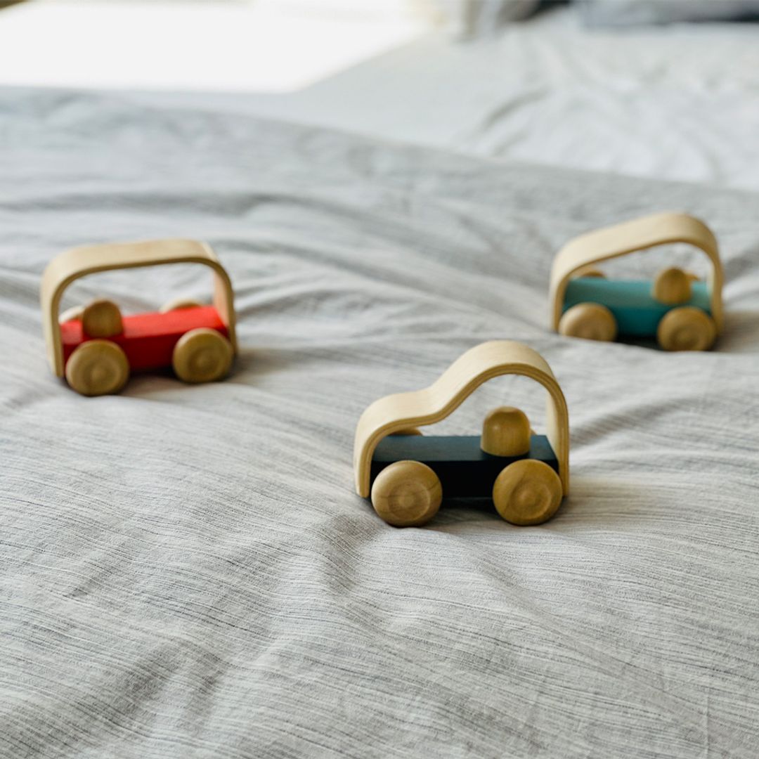 Plan Toys Vroom Truck