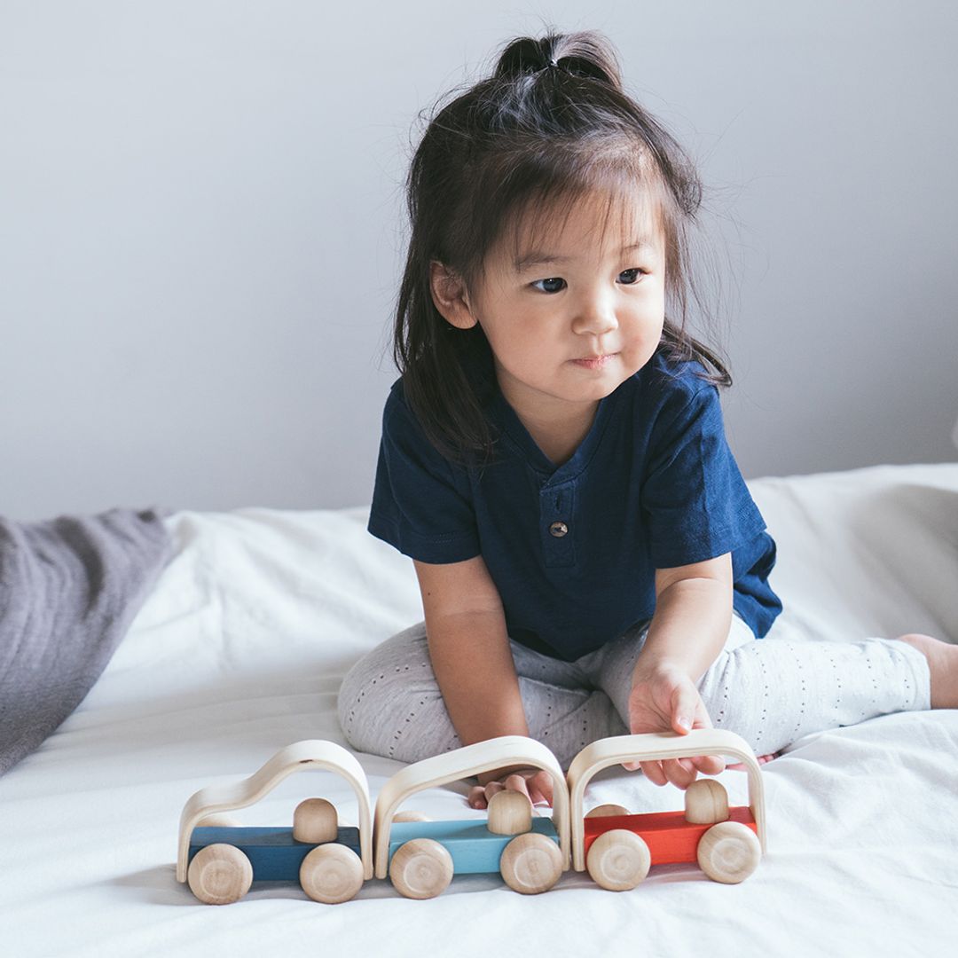 Plan Toys Vroom Truck