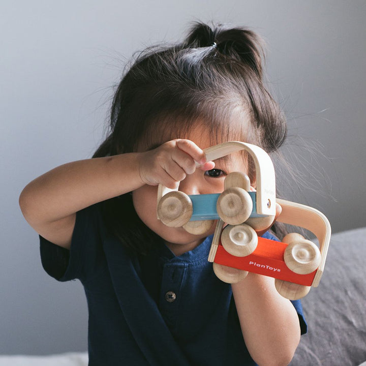 Plan Toys Vroom Truck