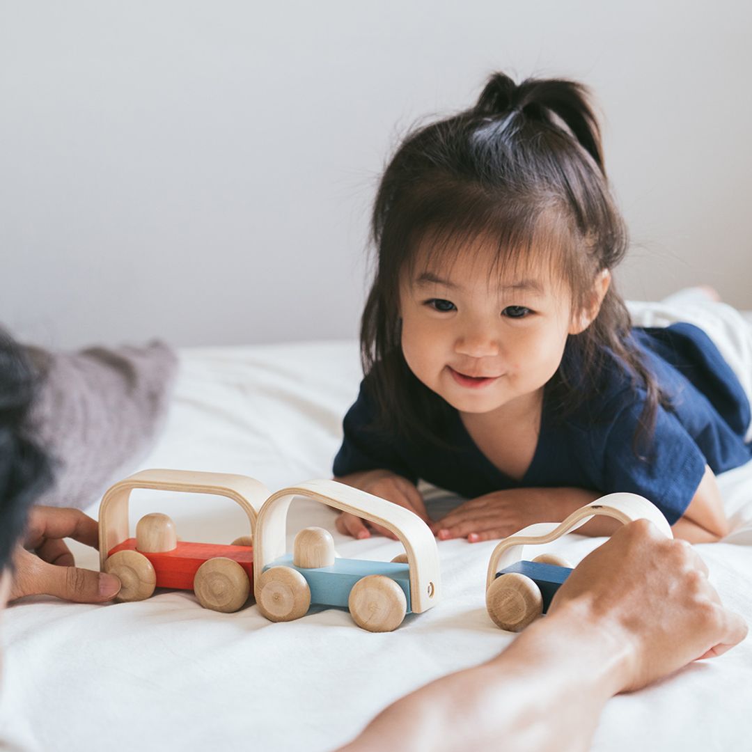 Plan Toys Vroom Truck