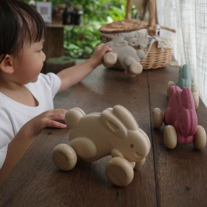 Plan Toys Push Along Bunny - White
