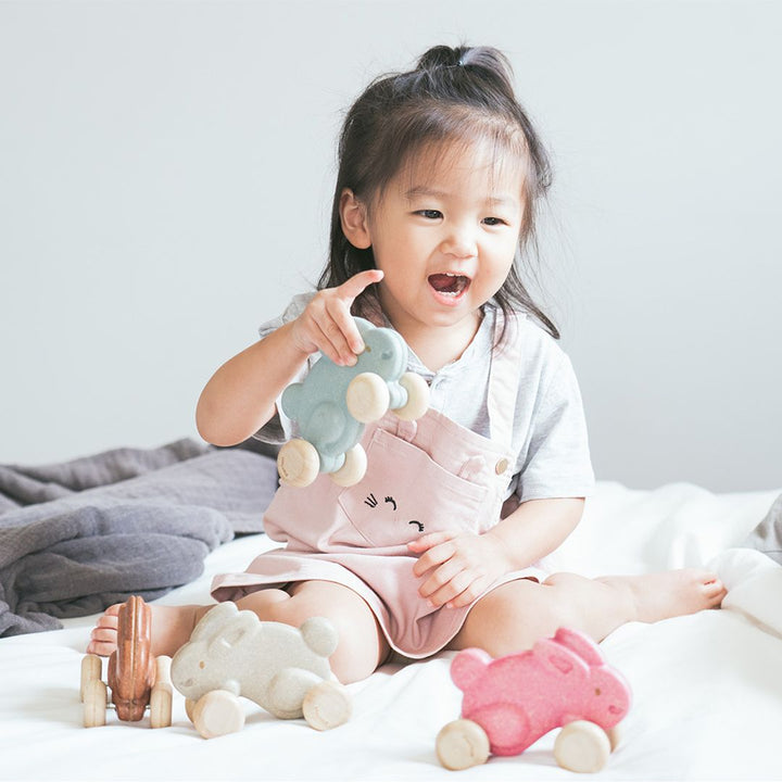 Plan Toys Push Along Bunny - Pink