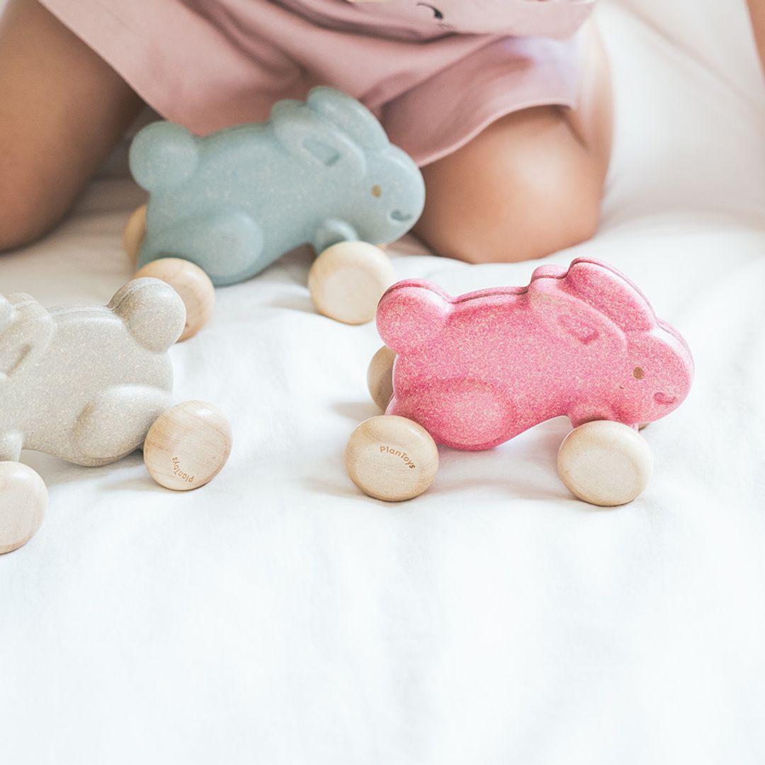 Plan Toys Push Along Bunny - Blue