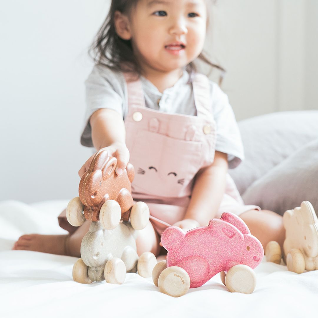 Plan Toys Push Along Bunny - Grey