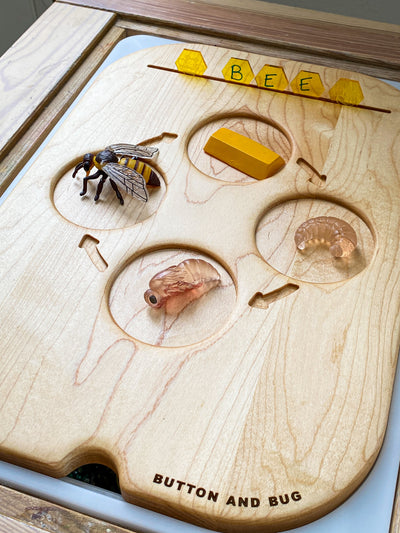 Dual Sided Life Cycle Insert