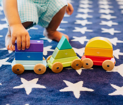 Tegu Magnetic Shape Train, Rainbow