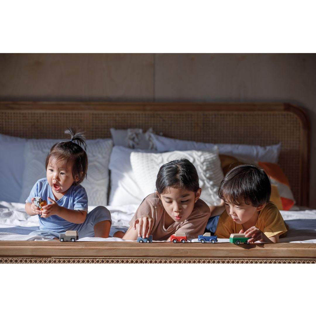 Plan Toys Planworld Car Set
